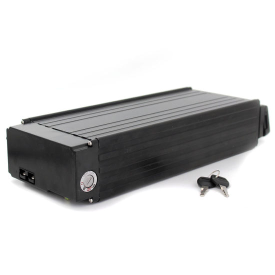 48V 20ah Li-ion Battery for Electric Bicycle with LED Light