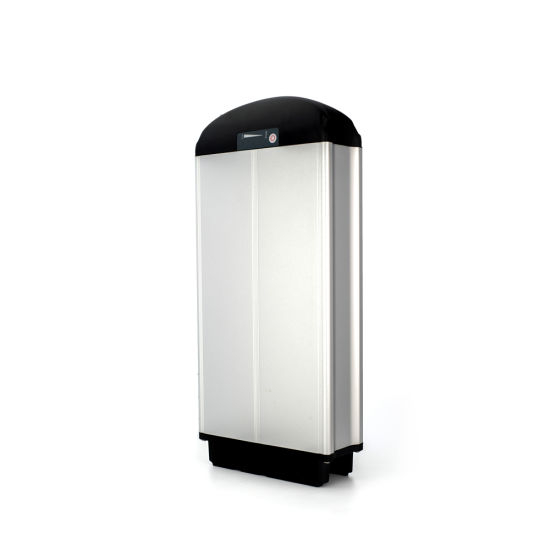 Rechargeable 48V 20ah 18650 Cell Battery Pack for Electric Bike