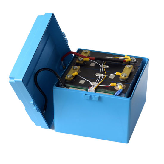 DC12V Customized LiFePO4 Cell Battery Pack with BMS and Protective Case