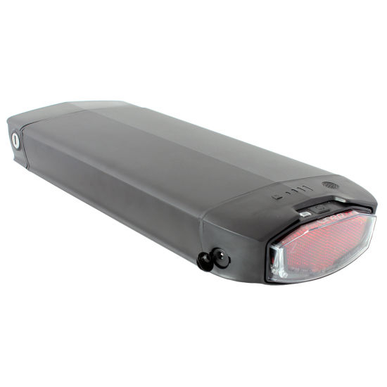 48V 20ah Li-ion Battery for Electric Bicycle with LED