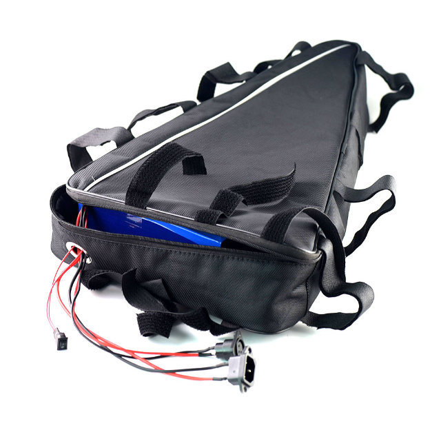 48V 15ah Lithium Ion Battery with Charger for 1000W Motor Bike
