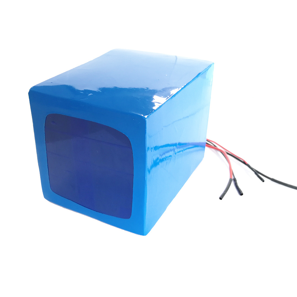 Electric Bike Battery 48V 20ah Rechargeable Lithium Polymer Battery Pack