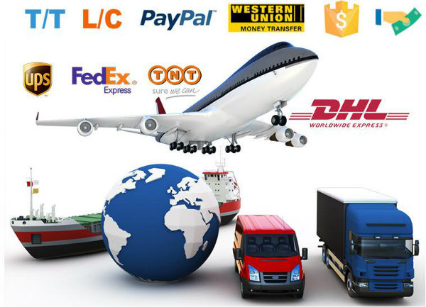 Lithium Ferro Phasphate Solar Car Bus LiFePO4 Battery 12V 100ah