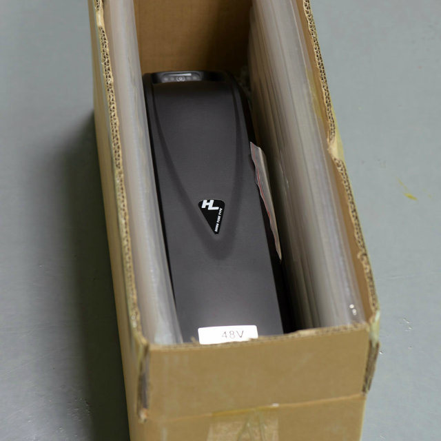 48V 10ah 18650 Power Battery with USB for Ebike