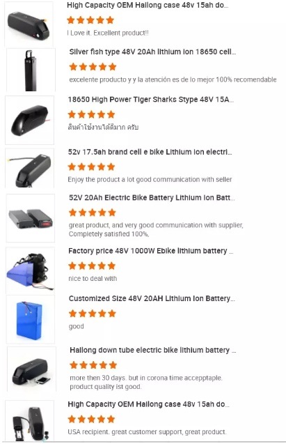 Customized Li-ion Battery 24V 36V 48V Lithium Ion Battery for Electric Bike Silver Fish