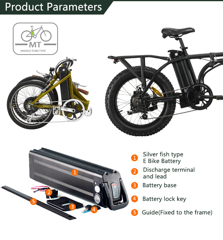 Customized Li-ion Battery 24V 36V 48V Lithium Ion Battery for Electric Bike Silver Fish