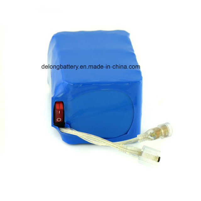 18650 Lithium Ion Battery Pack 6s4p for LED Light