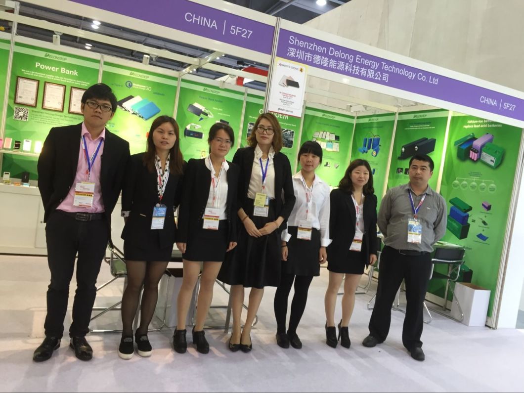 Rechargeable Electric Bike Battery Pack 48V 20ah