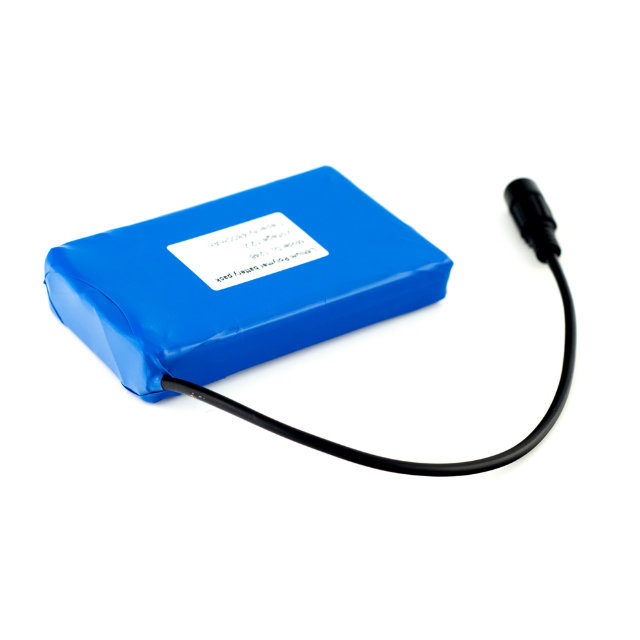 12V 4800mAh Rechargeable Lithium Polymer Battery Pack