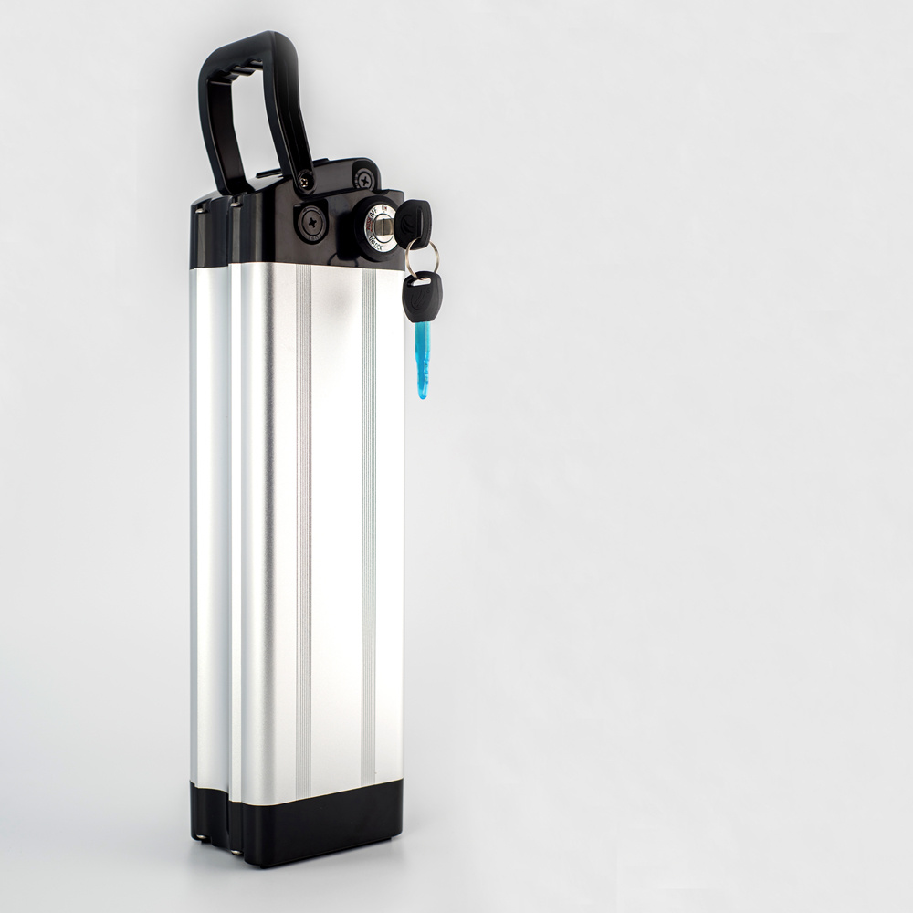 48V 20ah Lithium Ion Battery Pack for 1000W Electric Bicycle