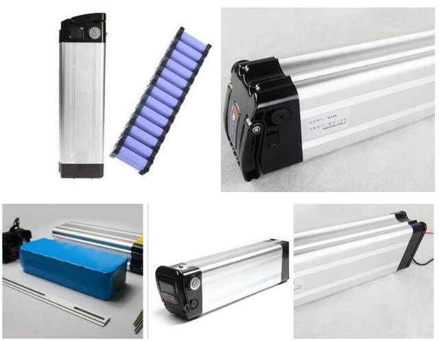 Electric Bike 48V 13ah 18650 Lithium Li-ion Battery Pack for E Bike