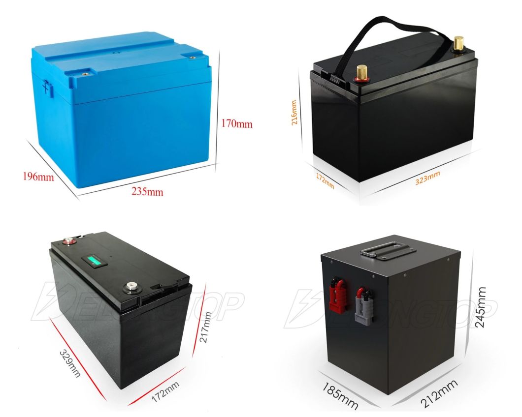 Custom Lithium Iron Phosphate LiFePO4 12V 24V 36V 48V 100ah 120ah 150ah 200ah 250ah Battery Pack with BMS