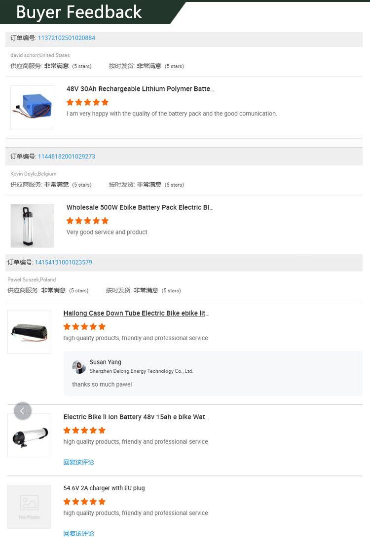 1500W 48V 30ah Electric Bike Battery High Power E-Bike 48 Volt Lithium Battery