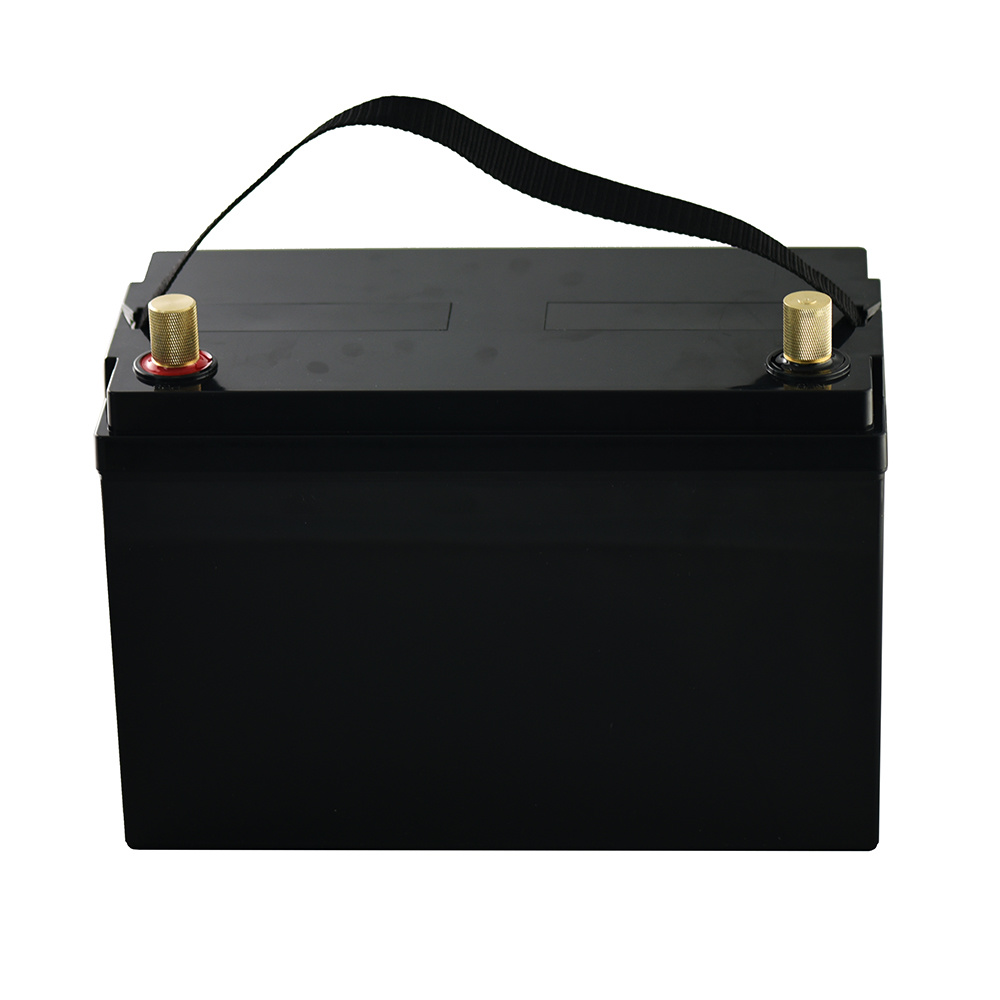 Sealed Case Storage Battery Lithium 12V 100ah LiFePO4 Battery Pack