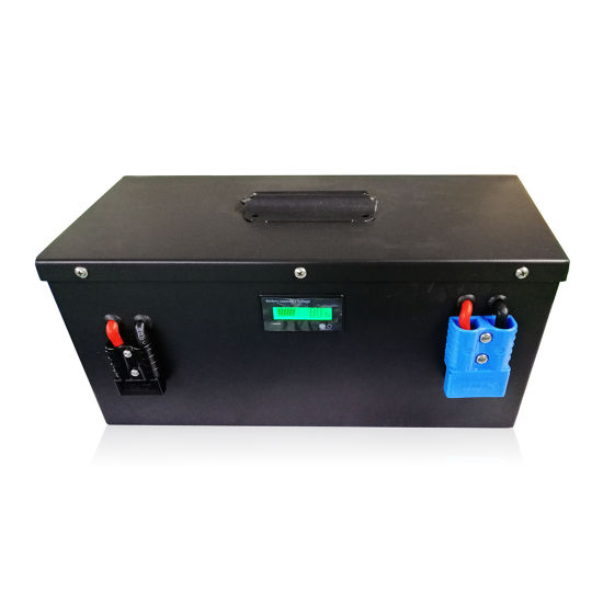 24V 100ah LiFePO4 Lithium Iron Phosphate LFP Battery Pack BMS in for RV EV, Car, Yacht Party, Electric Boat, Outdoor Solar System