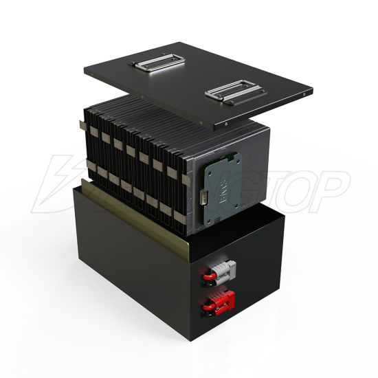 48V 50ah LiFePO4 Battery Lithium Ion Battery Pack for E-Motorcycle Battery