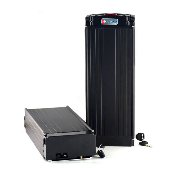 Rechargeable 48V 20ah Lithium Battery for 1000W Electric Bicycle