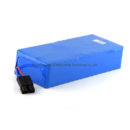 48V Lithium Ion Battery 48V20ah Bike Battery Electric Scooter 1000W 48V