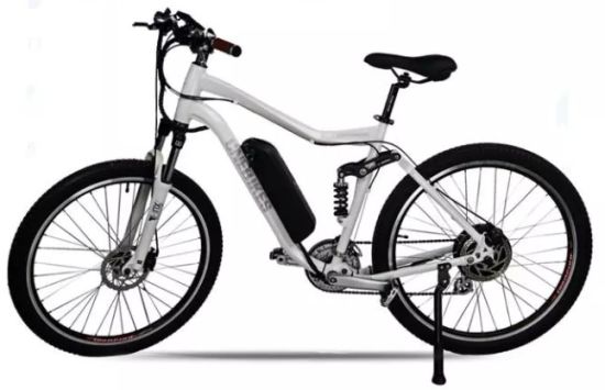 Hailong 26"500W 36V 12.5ah Fattire Mountain Beach Electric Bicycle Bike E-Bike Ebike Battery