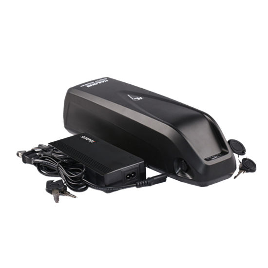 Custom Hai Long Electric Bike Battery Electric Vehicle Batteries with BMS