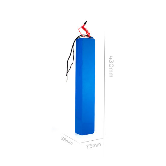 Customized 48V/36V 10ah Lithium Ion Battery Pack