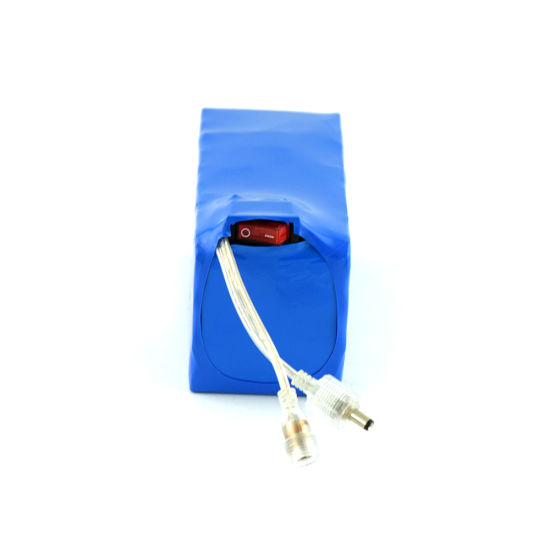 Rechargeable 12V 30ah Lithium Ion 18650 Battery Pack with Switch