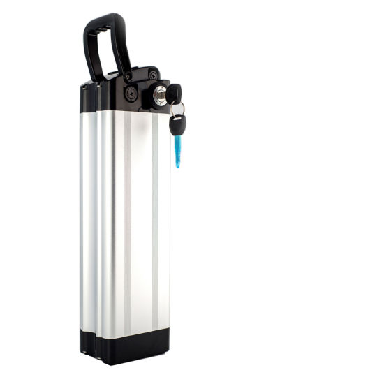 Li-Po Battery 48V12ah BMS and Charger for E-Bike