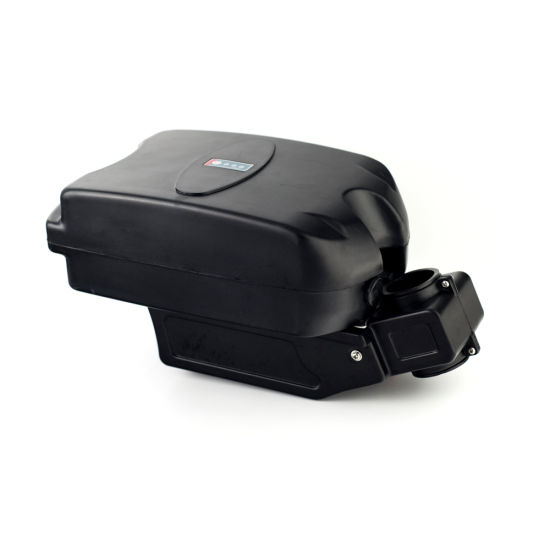 Frog Type E-Bike Battery Pack 24V 10ah for Electric Scooter Motorcycle