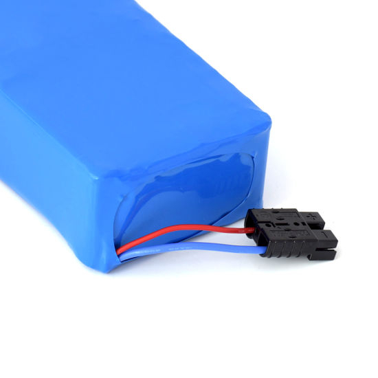 48V 20ah Lithium Electric Bike Battery for 1000W Motor