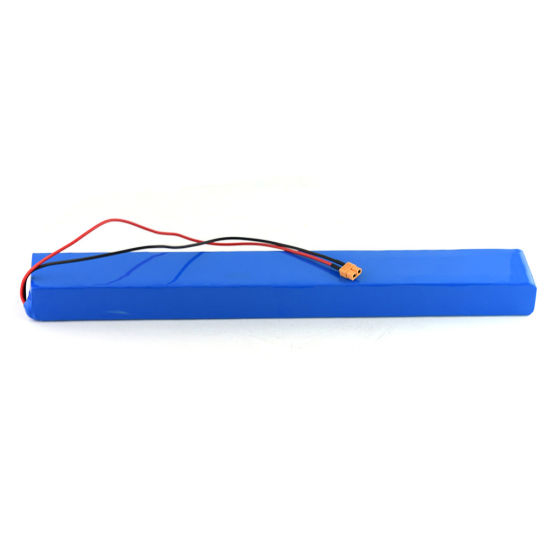 48V 10ah Rechargeable Lithium Ion Battery Pack