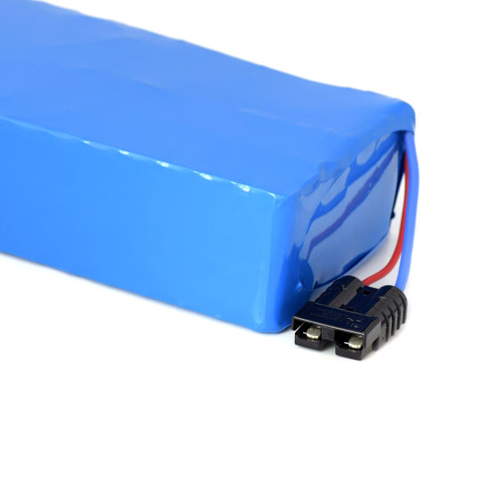 Manufacture Price 48V 20ah Deep Cycle Lithium Ion Battery Pack