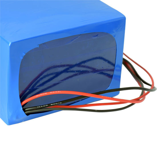 Rechargeable LiFePO4 Battery 48V 40ah for LED Bulb