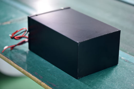 48V 40ah 1000W LiFePO4 Lithium Polymer Battery Pack for Electric Vehicles