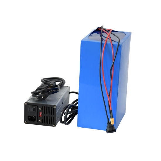 48V 20ah Lithium LiFePO4 Battery Pack for Power 1000W E-Bike