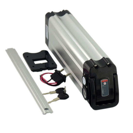 36V 10ah Lithium Ion Battery with Charger for 500W Motor Bike