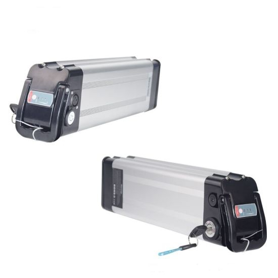Rechargeable Silver Fish Type 48V 12ah Electric Bicycle Battery with BMS Charger