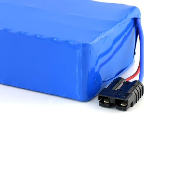 48V 20ah Rechargeable Lithium-Ion Battery Pack for E-Bike