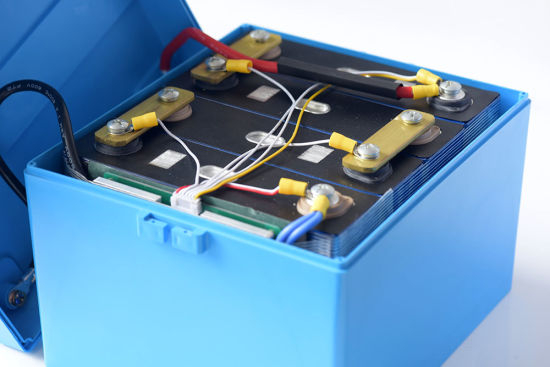 DC12V Customized LiFePO4 Cell Battery Pack with BMS and Protective Case