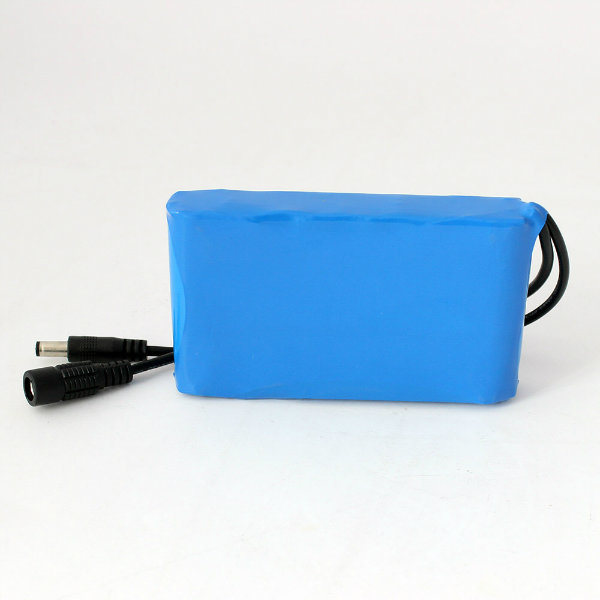 12V Portable Rechargeable 4000mAh Customized Lithium Battery Pack