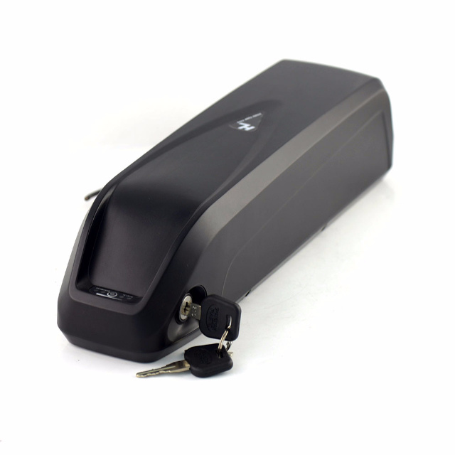 Hailong Type Lithium Battery Pack for 750W Motor with USB