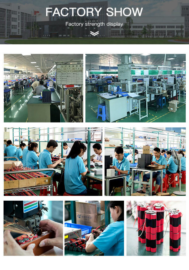 18650 Lithium Long Cycle Battery for 500W Motor China Supplier