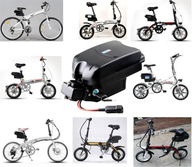 Frog Type E-Bike Battery Pack 24V 10ah for Electric Scooter Motorcycle