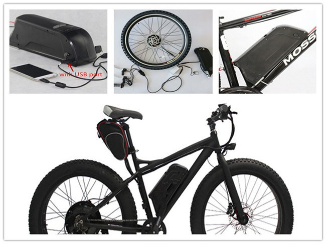 Dolphin Battery Down Tube Type Ebike Bicycle Lithium Battery 48V 13ah Lithium Battery