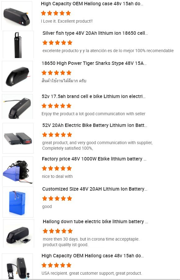 Supply Batteries Lithium Battery 48V 17.5ah 13s5p 1000W Battery Pack for Electric Bike Scooter