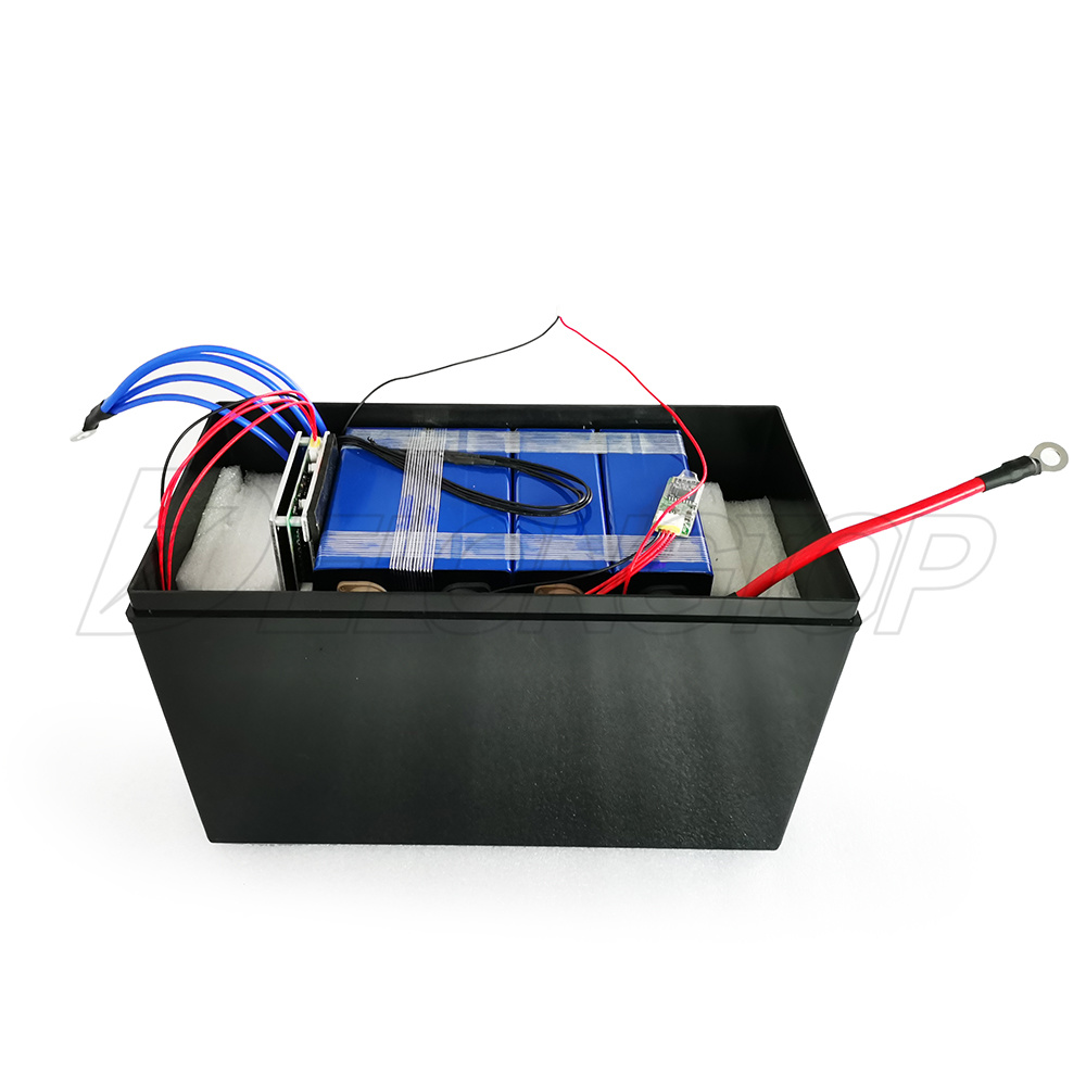 Custom Lithium Iron Phosphate LiFePO4 12V 24V 36V 48V 100ah 120ah 150ah 200ah 250ah Battery Pack with BMS
