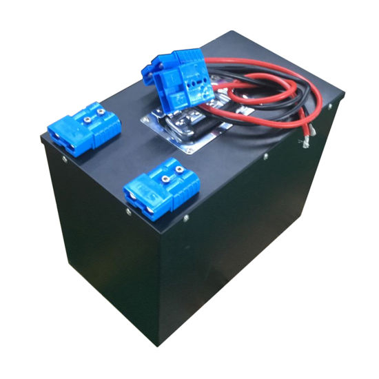 Rechargeable Lithium Ion Battery Pack 12V 200ah LiFePO4 with BMS