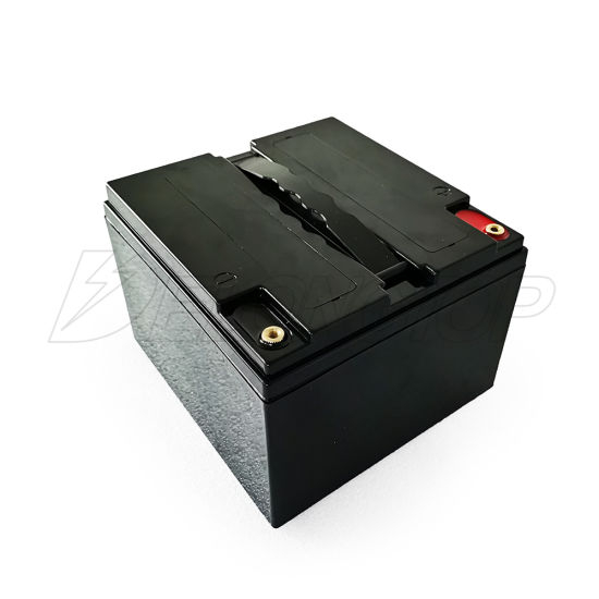 Factory Direct Customized Lithium LiFePO4 12V 25ah Battery Pack with BMS