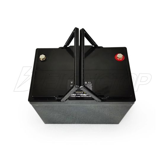 Portable Lithium Ion LiFePO4 Battery 4s2p Pack 12V 100ah
