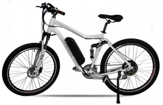Hailong 48V 13ah Electric Bicycle Li-ion Battery Downtube for 1000W 750W Scooter Wheel