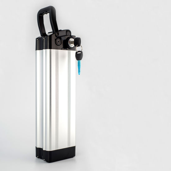 36V 10ah Rechargeable Lithium Battery for Electric Vehicle